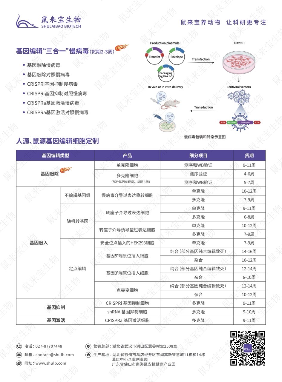 细胞基因编辑不用愁！鼠来宝生物一站式搞定敲除/敲入/激活/抑制～