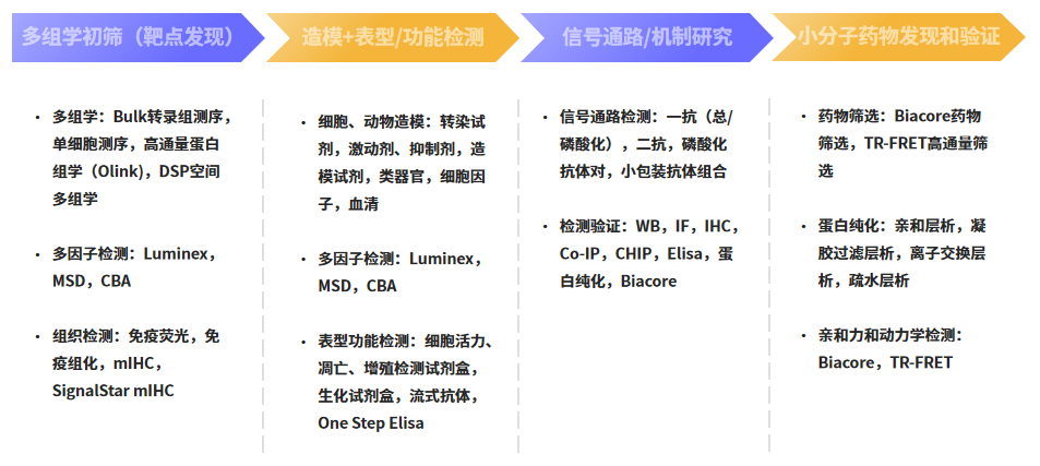 [IF 28+15]机制研究+靶点验证，研究套路在手，优质期刊随你挑！两篇高分文章教你怎么用！