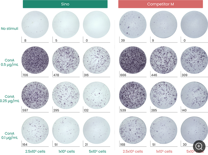 ELISpot试剂盒验证数据及常见问题QA