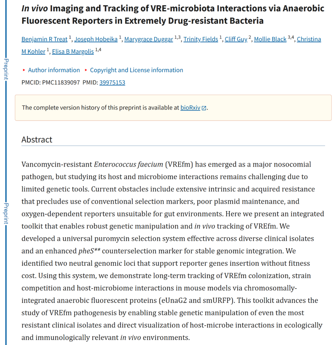 ApogeeFlow成美国科研团队开发新工具，助力耐药菌 VREfm 可视化研究