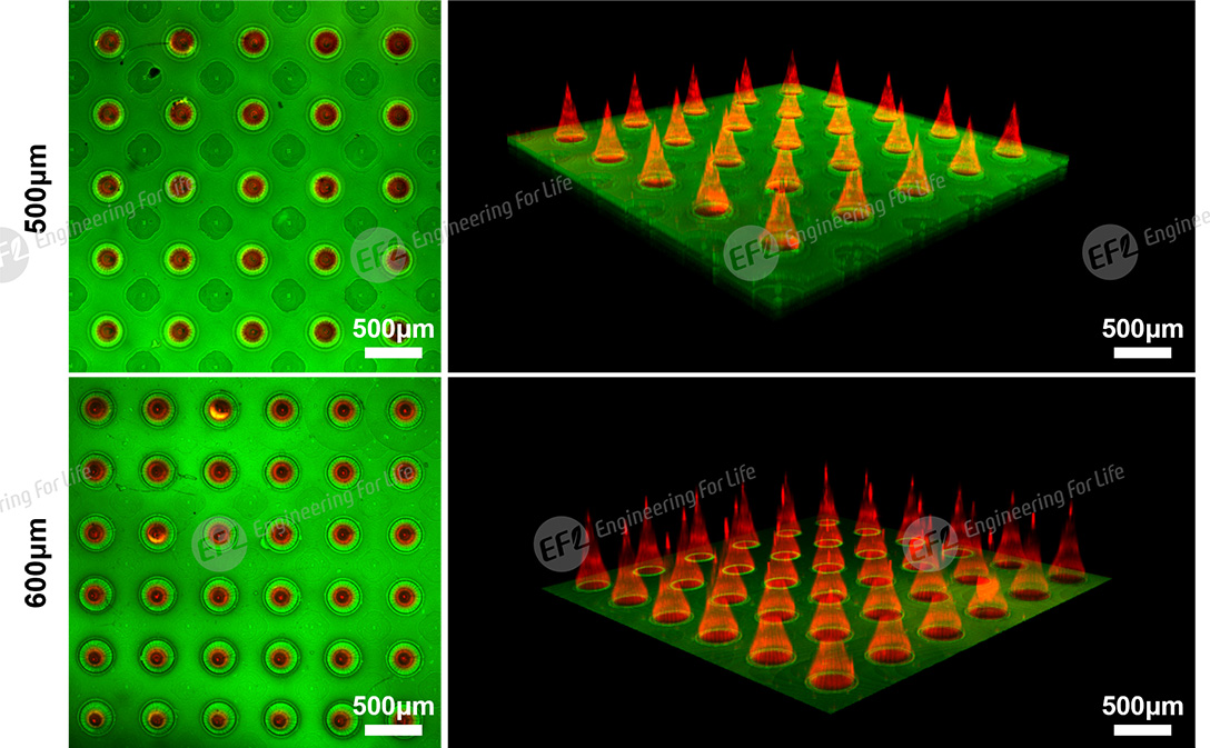 微针制备解决方案