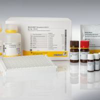 RIDASCREEN® Ochratoxin A 30/15 赭曲霉毒素A检测试剂盒