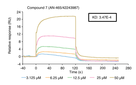 [IF 28+15]机制研究+靶点验证，研究套路在手，优质期刊随你挑！两篇高分文章教你怎么用！