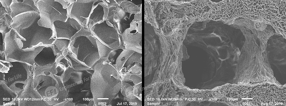 甲基丙烯酰化明胶(GelMA) 甲基丙烯酰化明胶(GelMA)
