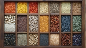 维生素K如何强健骨骼?骨质疏松人群速看