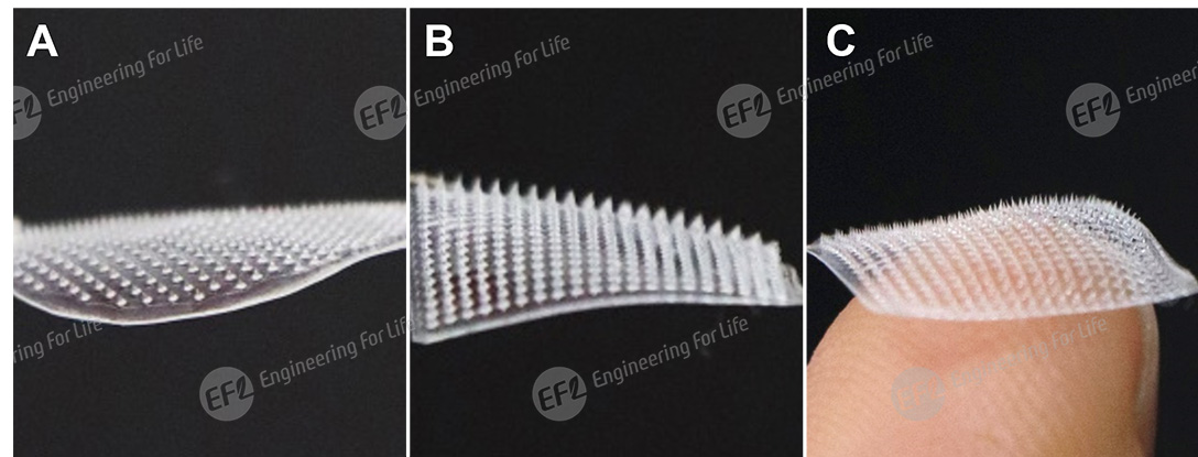 微针制备解决方案