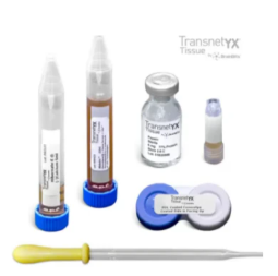 BrainBits——神经科学领域的“细胞供应商专家”