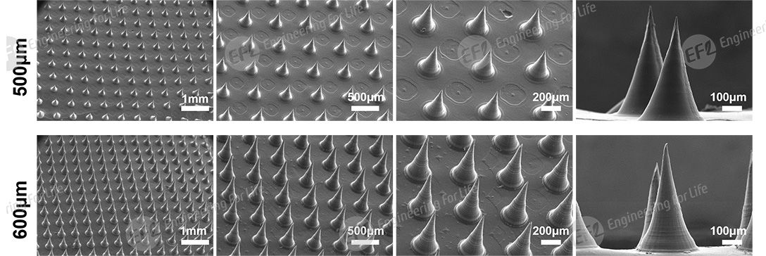 微针制备解决方案