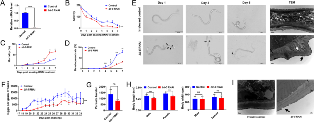 新型运动性分析仪WMicrotracker ONE助力寄生虫防控研究取得突破