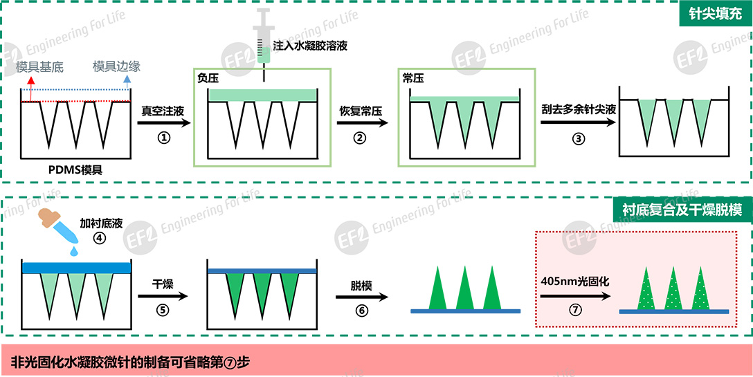 微针制备解决方案