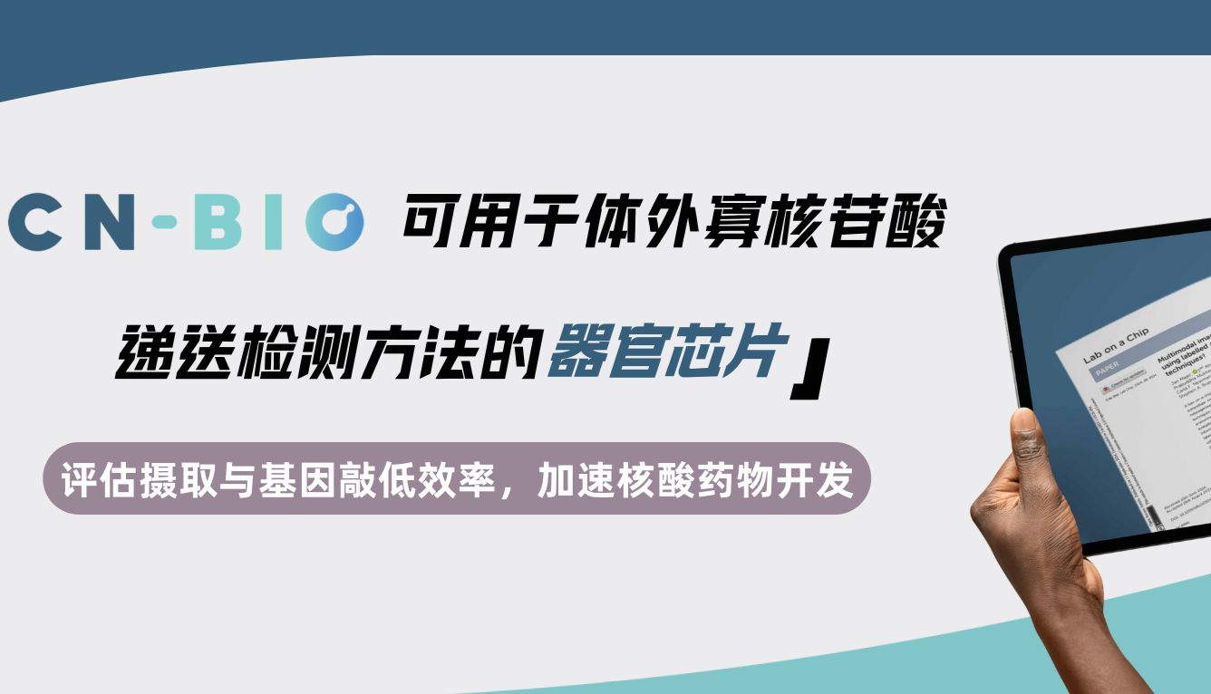 CN Bio | 可用于体外寡核苷酸（siRNA和ASO等）递送检测方法的器官芯片