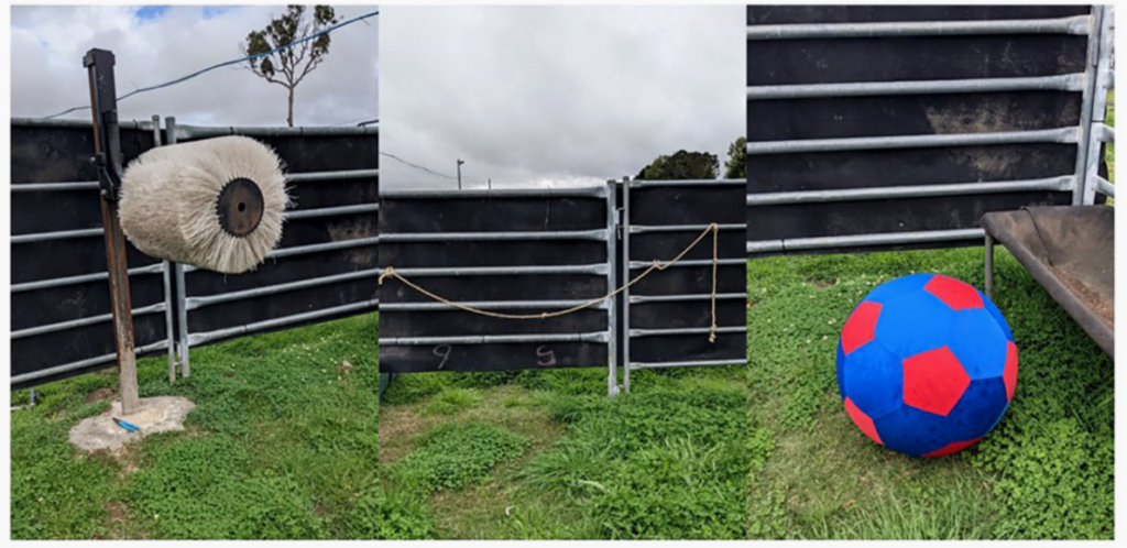 环境丰容能改善牛犊福利吗？