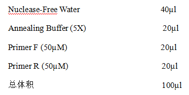 EMSA 实验技术：解码核酸与蛋白互作的 “凝胶迁移探针捕手”