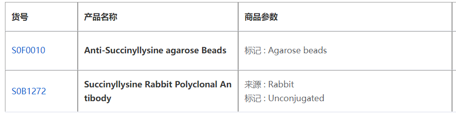 琥珀酰化抗体如何揭示蛋白质修饰在疾病发生中的关键作用？