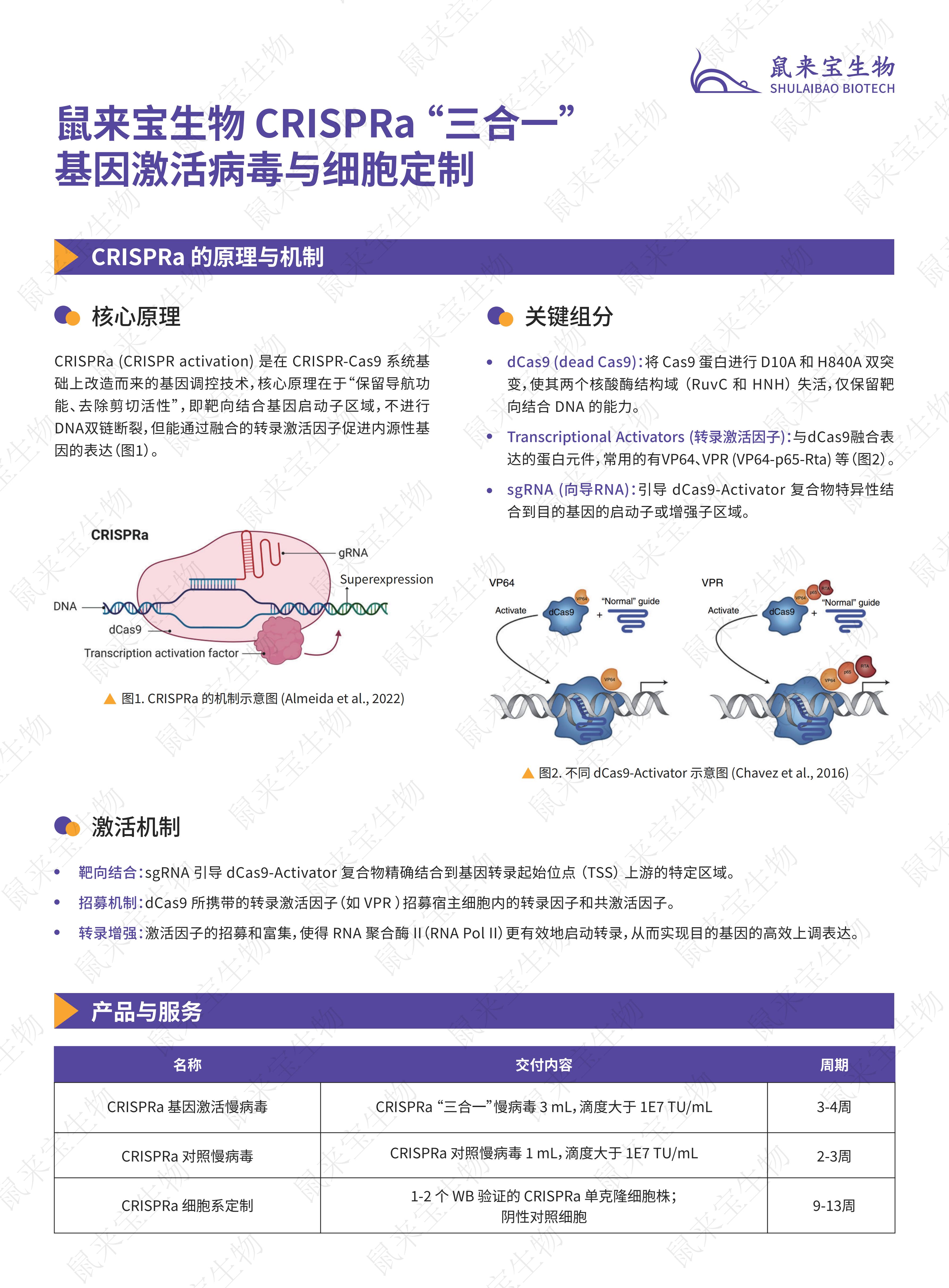 细胞基因激活定制服务