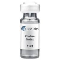 Cholera Toxin B Subunit (Choleragenoid) from Vibrio cholerae in Low Salt