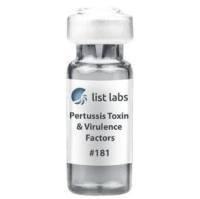 181   百日咳毒素Pertussis Toxin Islet Activating Protein Lyophilized (Salt-Free)