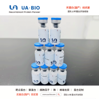 ACI28624 的糖蛋白