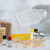 RIDASCREEN® Zearalenon 玉米赤霉烯酮定量检测试剂盒