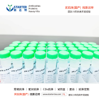 Hyaluronidase PH20/SPAM1, Human