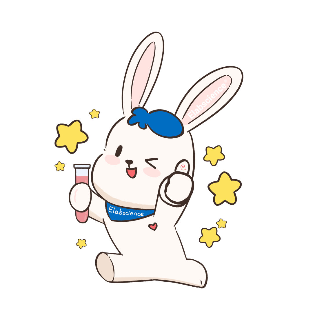 elabcsience双十二大促