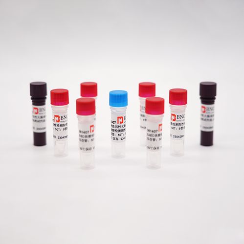 猪塞内卡病毒核糖核酸液体室内质控品