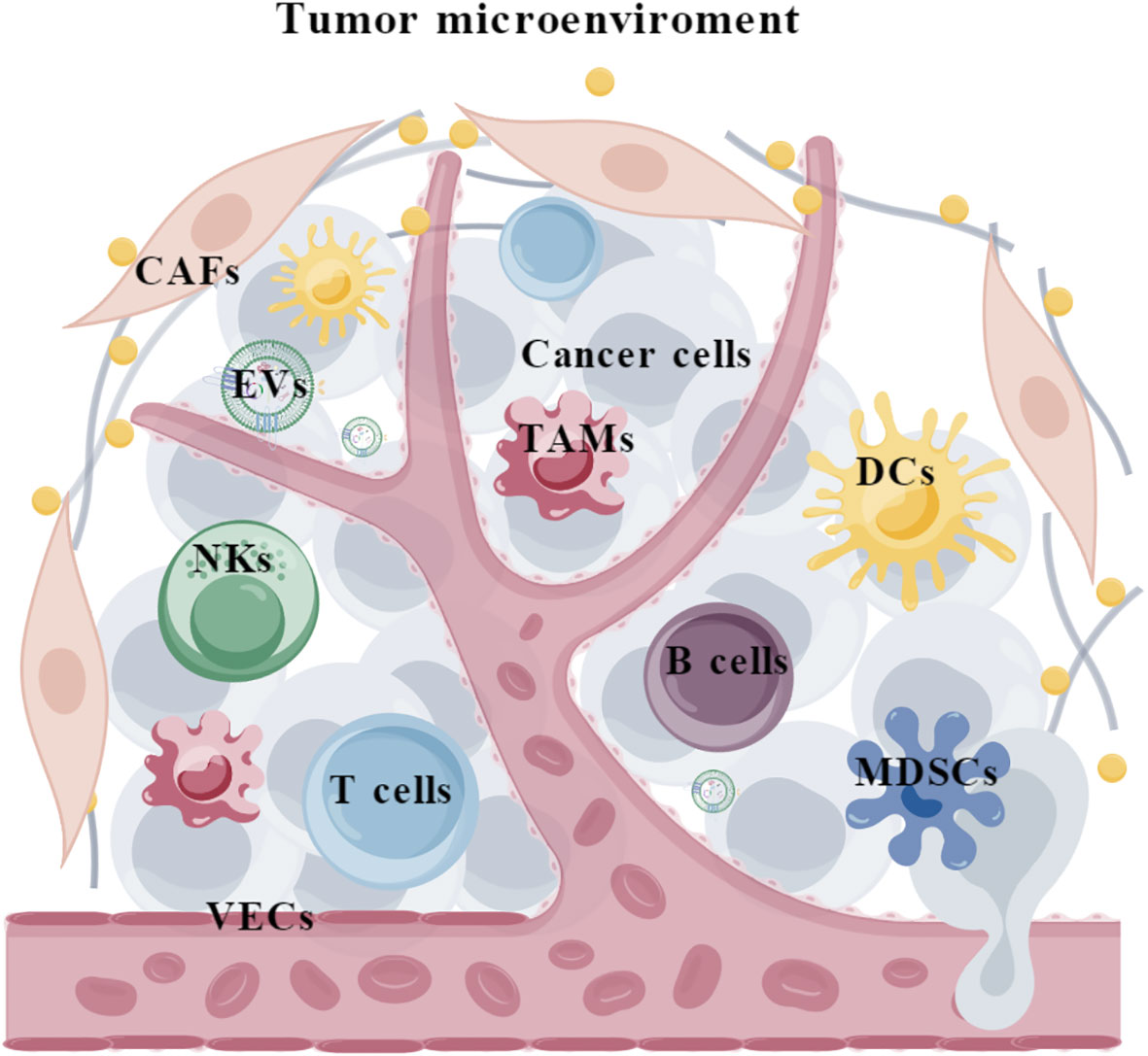 CD45/CD8 肿瘤细胞磁珠分选保姆级 Protocol，私藏避坑指南，轻松拿捏实验tips！