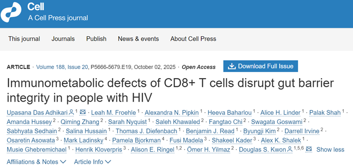 Cell | Tissue Cytometry 技术捕捉 HIV 肠道细胞互作,见证 CD8+T 细胞免疫代谢缺陷如何破坏肠屏障