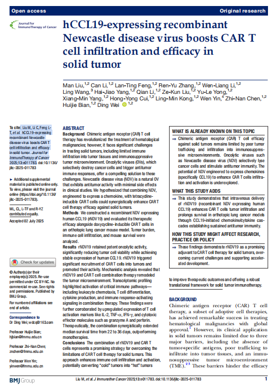 「DIFF+」溶瘤病毒联合疗法CRO解决方案：破解实体瘤免疫治疗困局