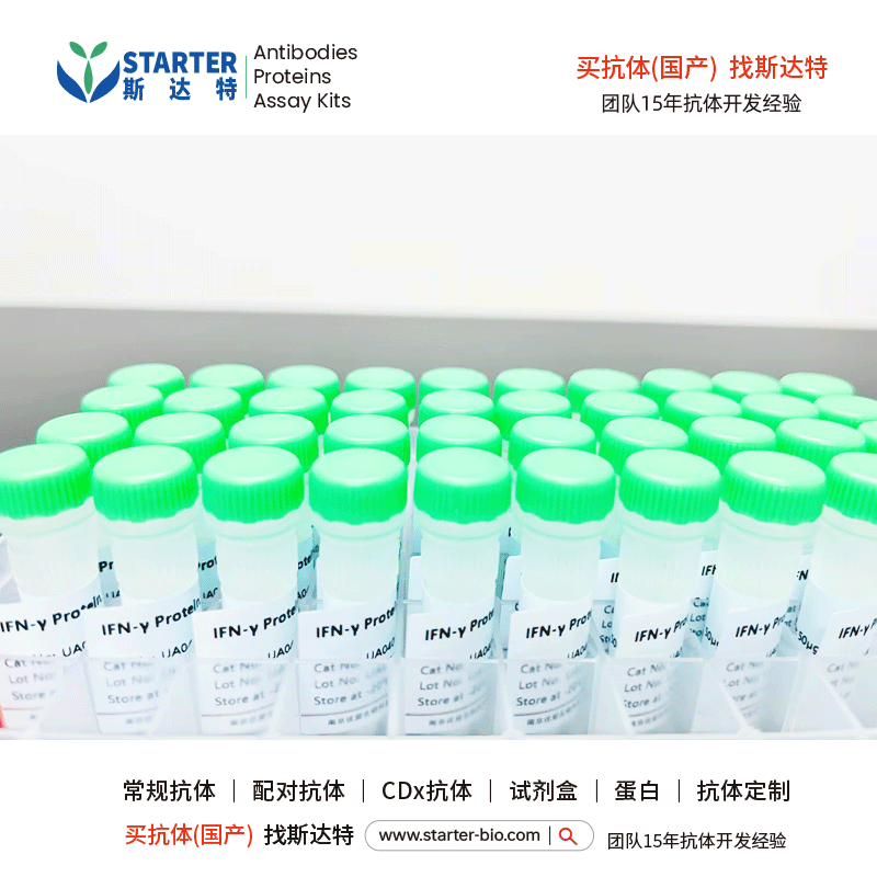 Syndecan-1/CD138 His Tag蛋白, 小鼠