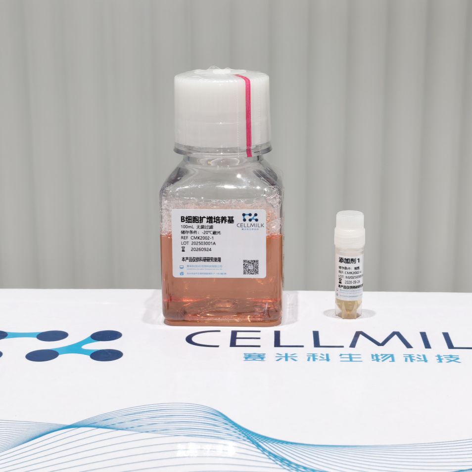 鼠B细胞扩增试剂盒