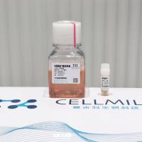 鼠B细胞扩增试剂盒