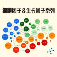 细胞因子&生长因子现货促销中