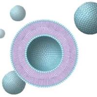 NGR与TAT肽双修饰脂质体共载TRAIL与阿霉素实现协同抗肿瘤治疗