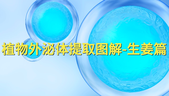 干货：植物外泌体提取图解-生姜篇（内附视频）