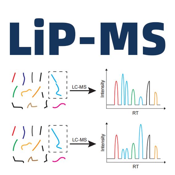 谱度众合LiP-MS服务案例