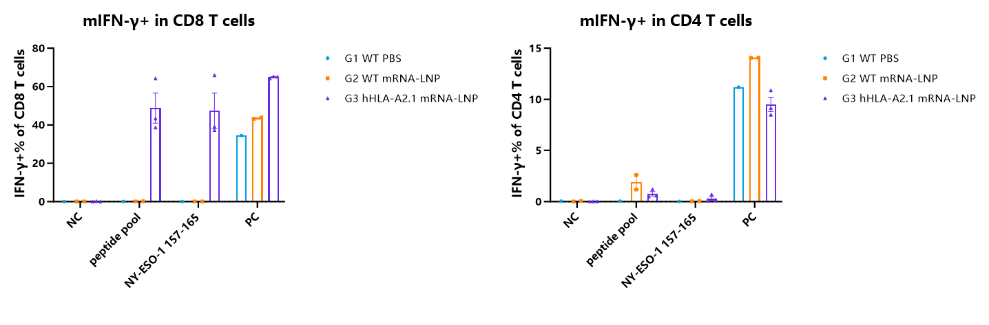 做肿瘤疫苗，离不开HLA人源化小鼠