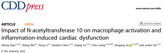 客户文章 | CDD：NAT10通过ac4C修饰ETS2 mRNA驱动巨噬细胞炎症及心脏损伤新机制