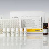 RIDASCREEN® Ractopamin (莱克多巴胺检测试剂盒)