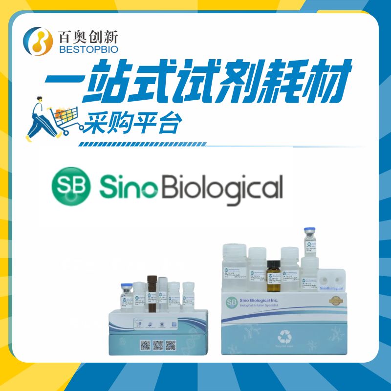 重组人HCG/CGA蛋白