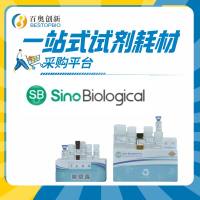 重组人HCG/CGA蛋白