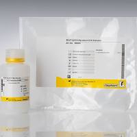 RIDA®QUICK Mycotoxin ECO Extractor 霉菌毒素快速检测通用环保提取液