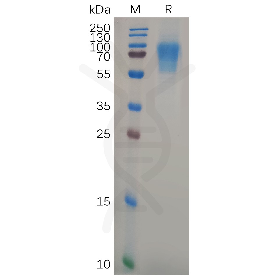 pme101039-cd6-sp1.jpg