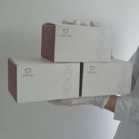 查尔酮异构酶(Chalcone isomerase, CHI)试剂盒