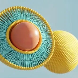 用于增强光动力治疗的生物素修饰脂质体:Ce6与Catalase共载实现缺氧缓解与疗效提升