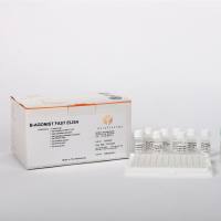 EuroProxima Beta-Agonist Fast (β-激动剂快速检测试剂盒)