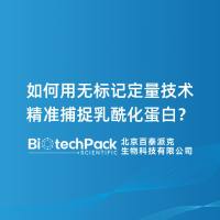 如何用无标记定量技术精准捕捉乳酰化蛋白?