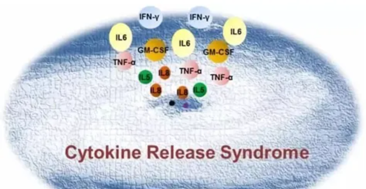 细胞因子风暴：病理机制与临床管理策略