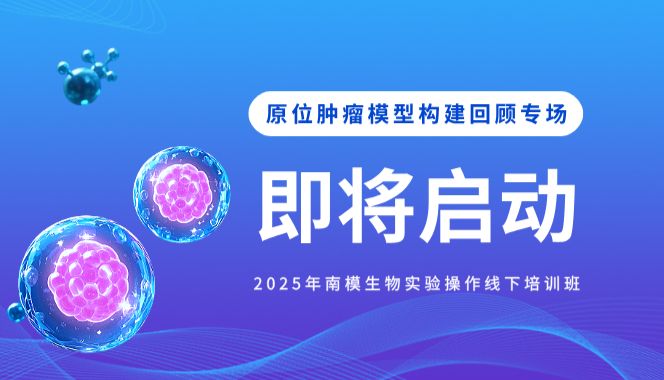 原位肿瘤模型构建回归专场即将启动！