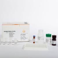 EuroProxima Ochratoxin A 赭曲霉毒素A定量检测试剂盒